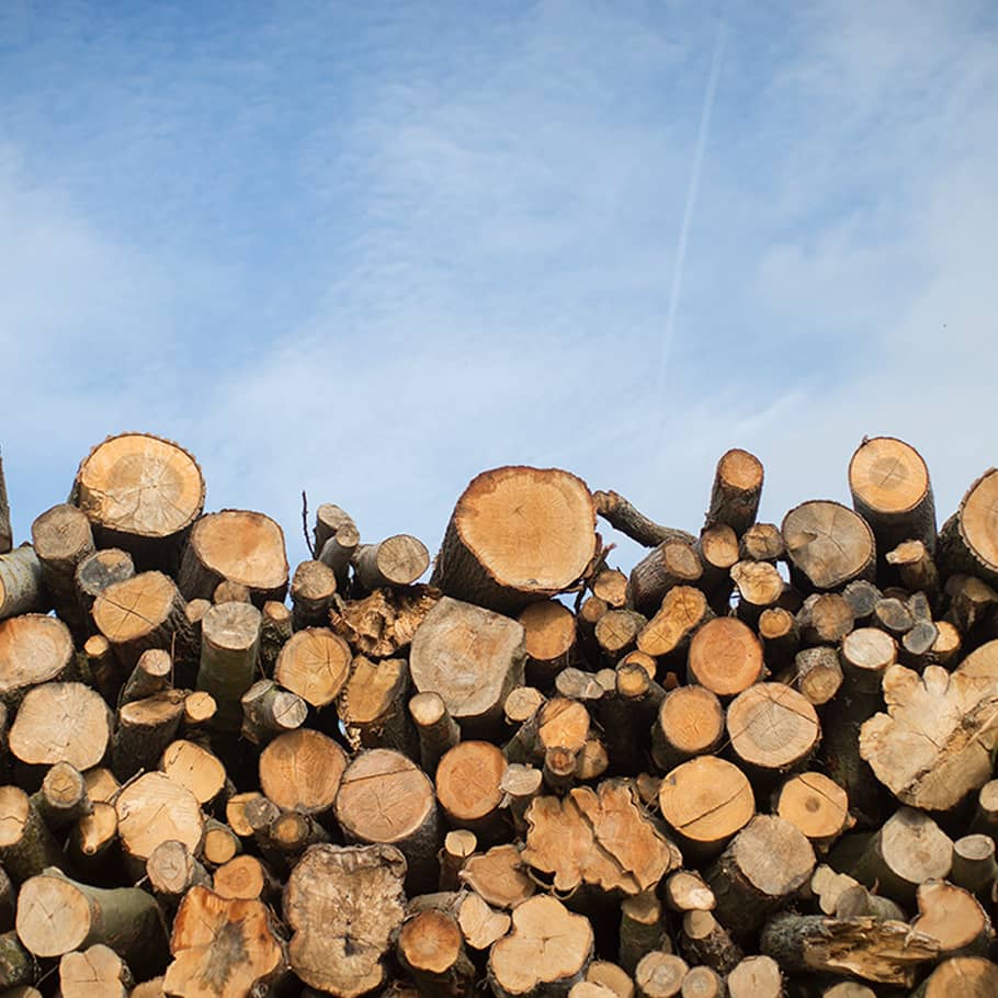 Pergos trägolv är tillverkade av trä från hållbart förvaltade skogar